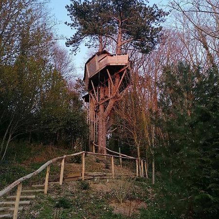 Sherwood Tree Étretat Exteriör bild