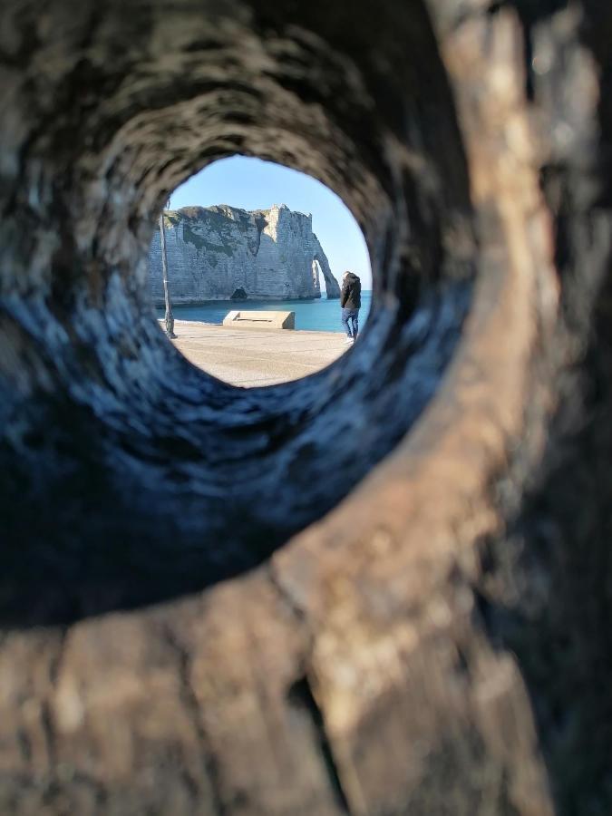 Sherwood Tree Étretat Exteriör bild
